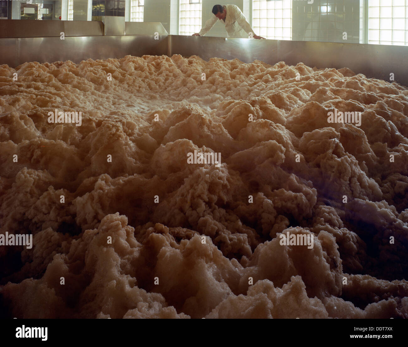 Vergärung von Schiffen in Tetley es Brauerei, Leeds, West Yorkshire, 1968.  Künstler: Michael Walters Stockfoto