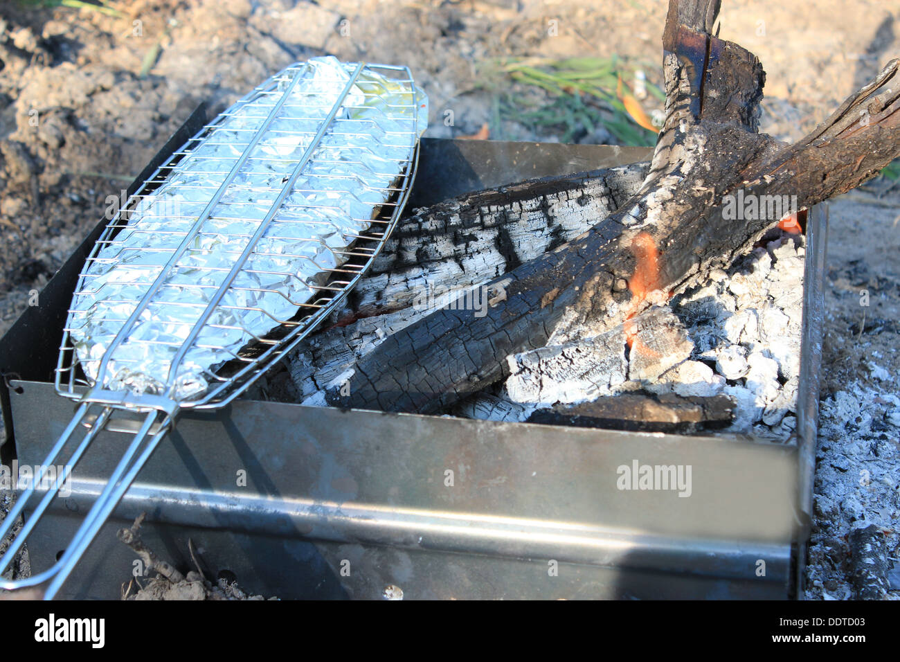 Gericht aus gebratenem Fisch auf Corbons auf Feuer gekocht Stockfoto