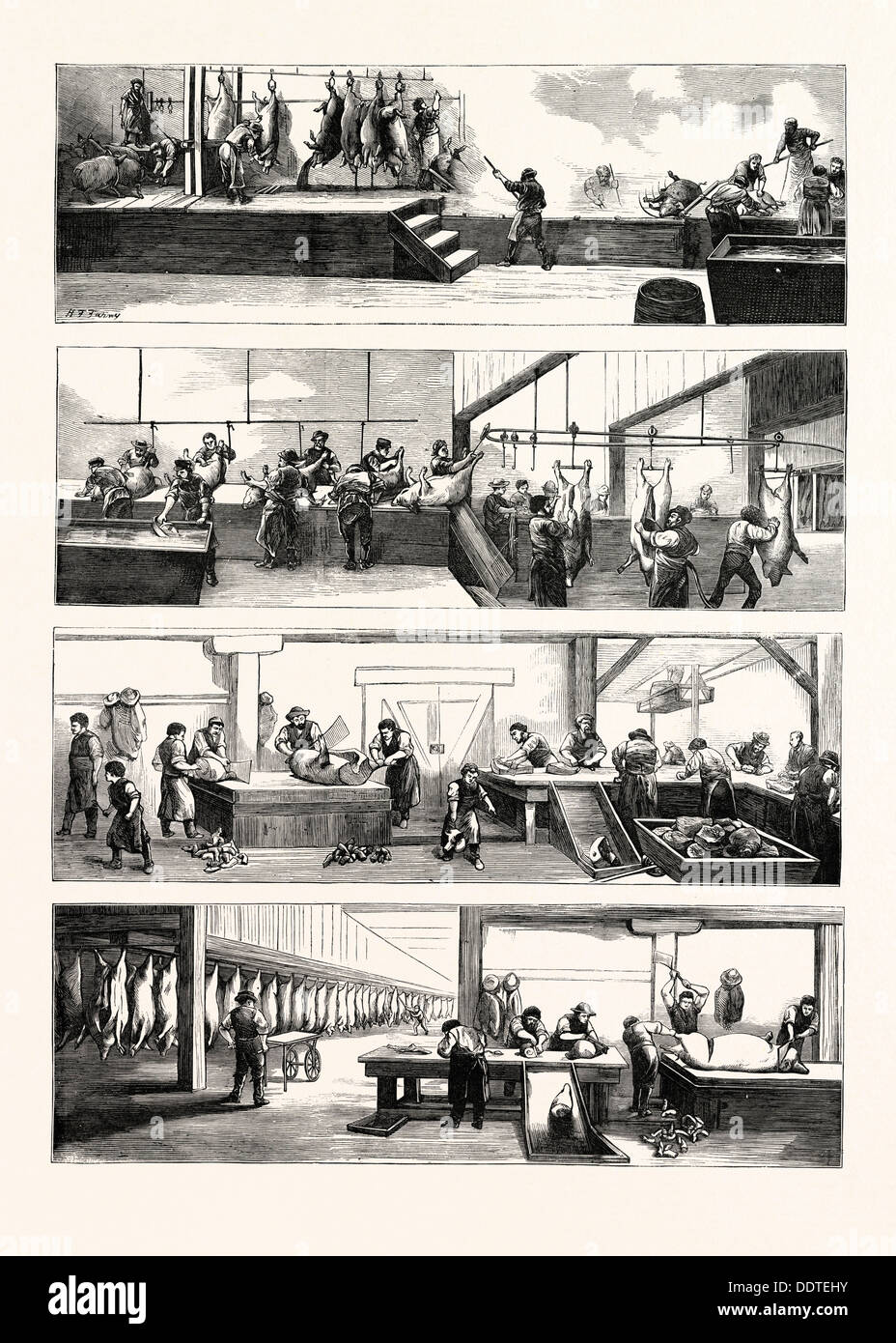 AMERIKANISCHE Industrie und Handel, HOG-Schlachtung in CINCINNATI, Vereinigte Staaten von Amerika, US, USA, 1873-Gravur Stockfoto