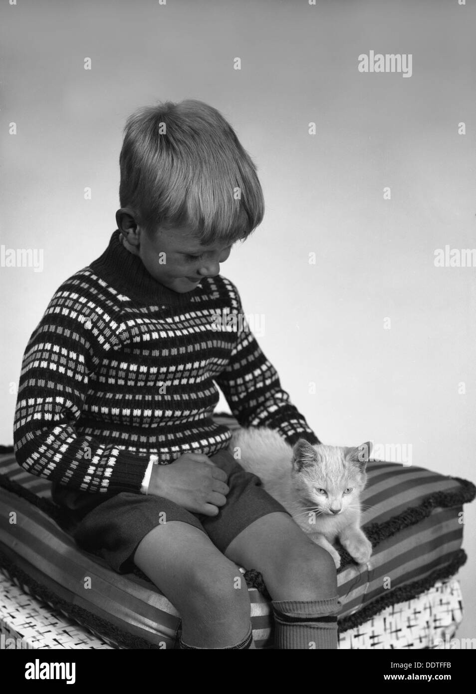 Kind mit einer Katze, 1963. Künstler: Michael Walters Stockfoto