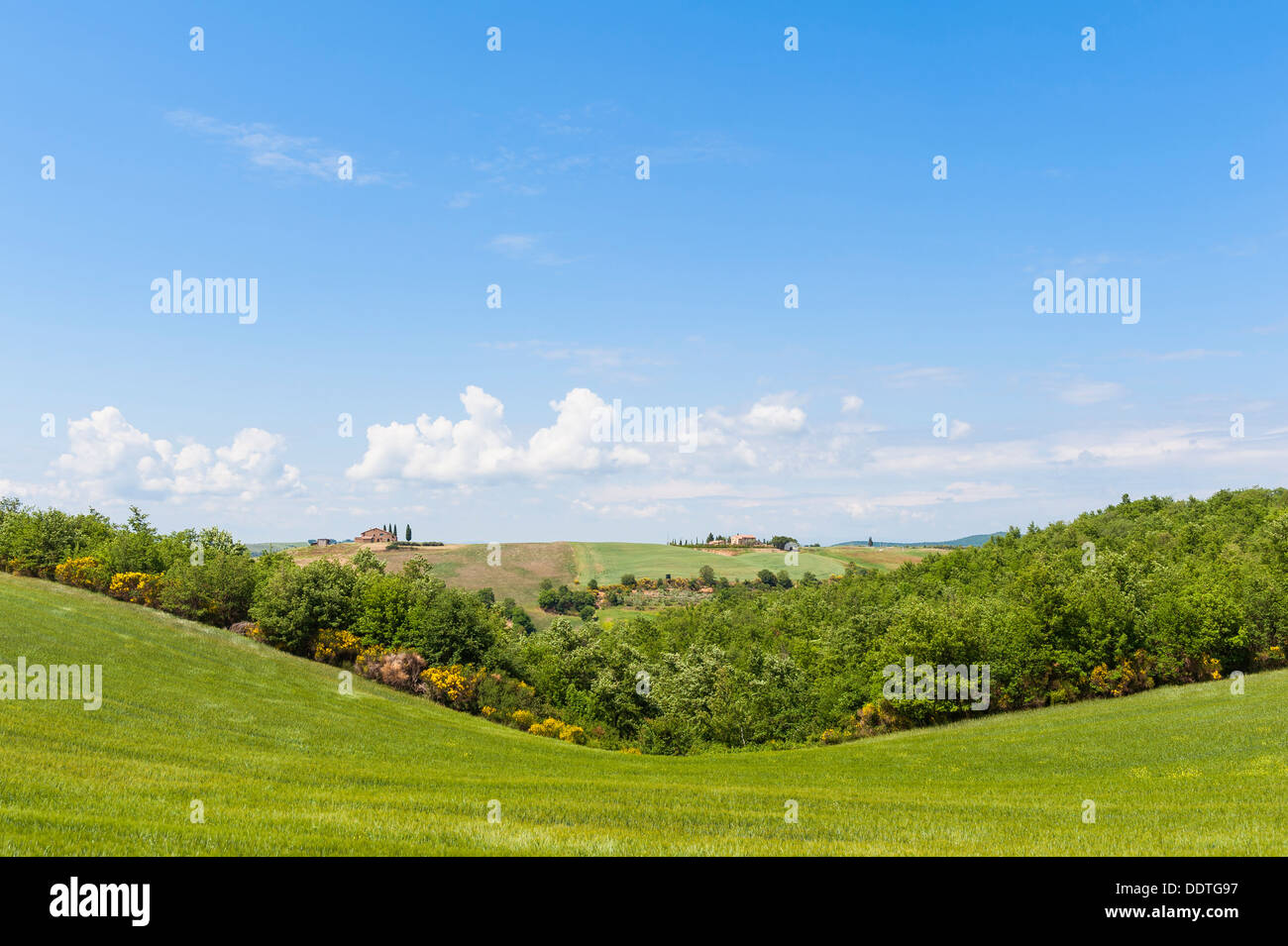 Hügellandschaft der Toskana Italien Stockfoto