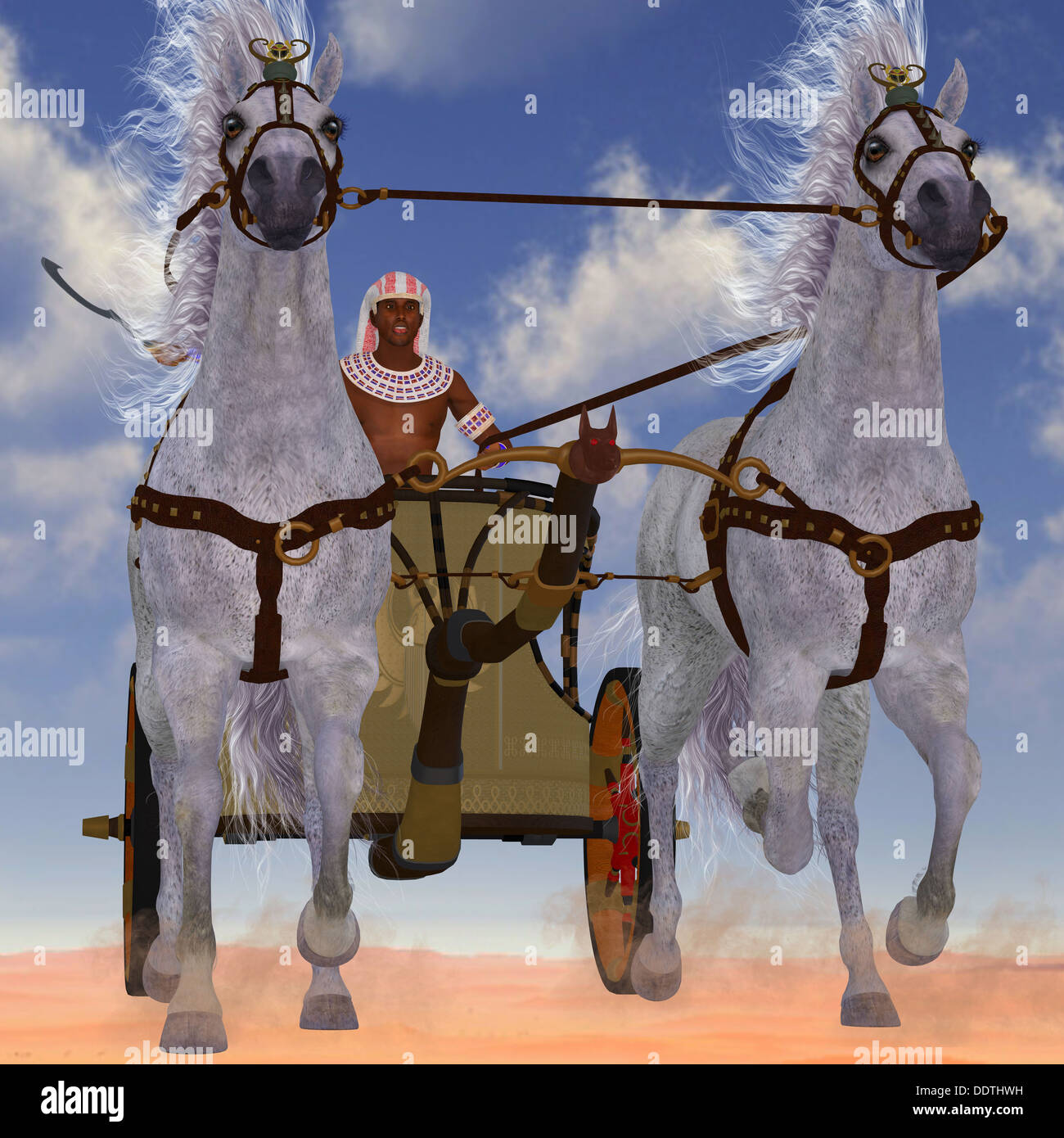 Ein ägyptischer Mann braucht sein Team von Araberpferden hitched zu einem Wagen heraus, in der Wüste. Stockfoto