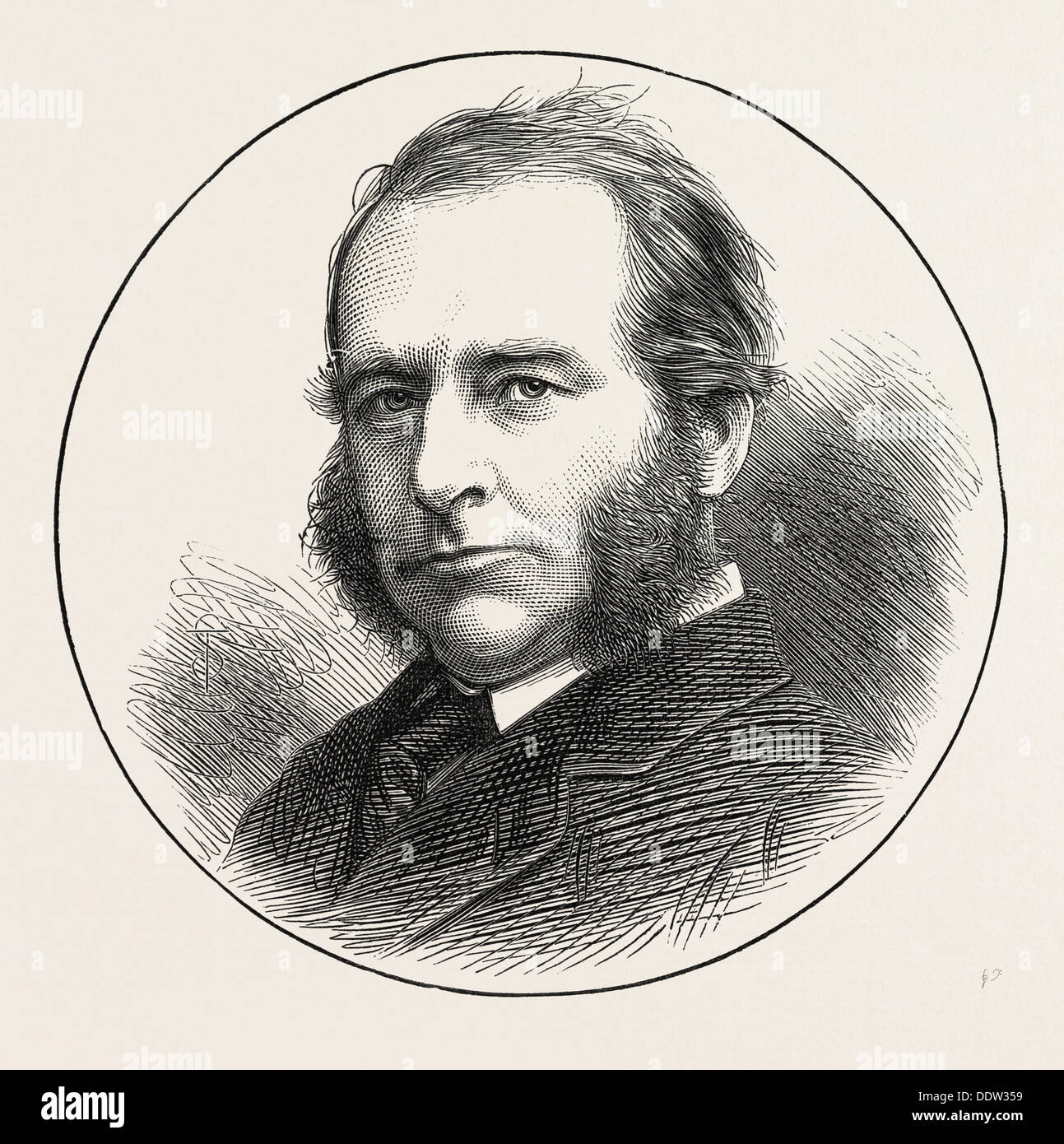 Marder illustration Fotos und Bildmaterial in hoher Auflösung Alamy