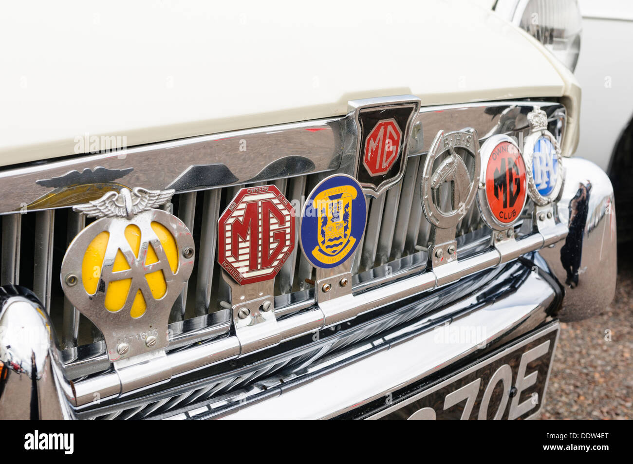Abzeichen auf dem Grill von einem alten MG wie AA, RAC und MG Owners Club Stockfoto