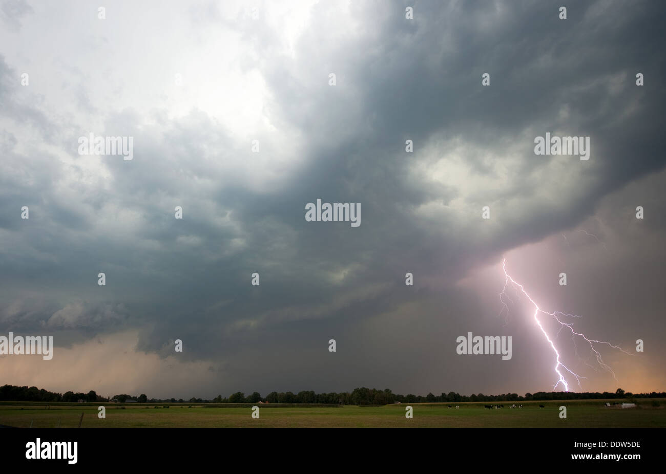 Blitz und Donner am Ende eines heißen und feuchten Tag in den Niederlanden Stockfoto