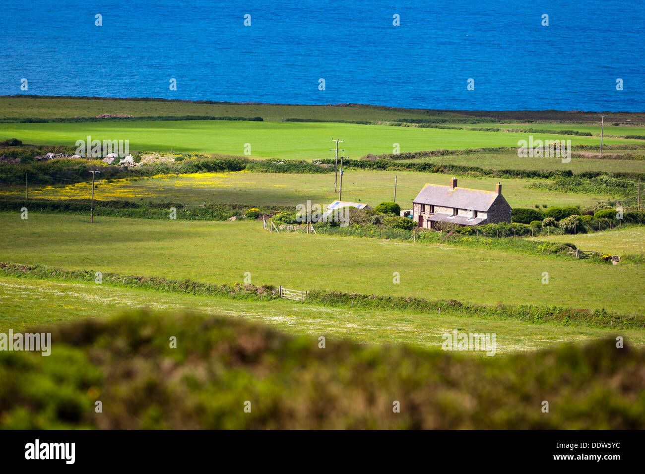 Eine isolierte Bauernhaus an der Atlantikküste in Cornwall. Selektiven Fokus auf Haus Stockfoto