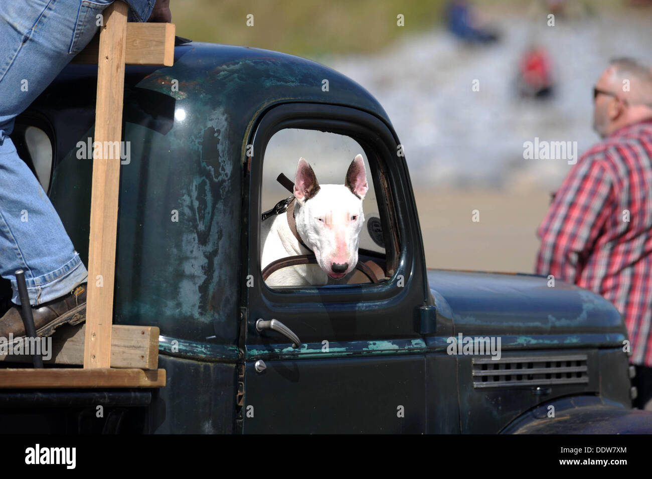 Pendine Sands, Wales, UK. 07. Sep, 2013.   Die ersten jährlichen Amateur Hot Rod Rennen im Pendine Sands vor der Küste von West Wales heute. Die Veranstaltung wird von der Vintage Hot Rod Association gehostet. Bildnachweis: Phil Rees/Alamy Live-Nachrichten Stockfoto
