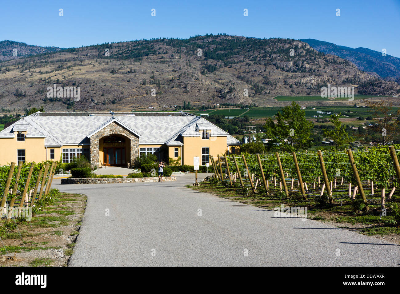 Tinhorn Creek Winery, Oliver, südliche Okanagan, British Columbia, Kanada. Stockfoto