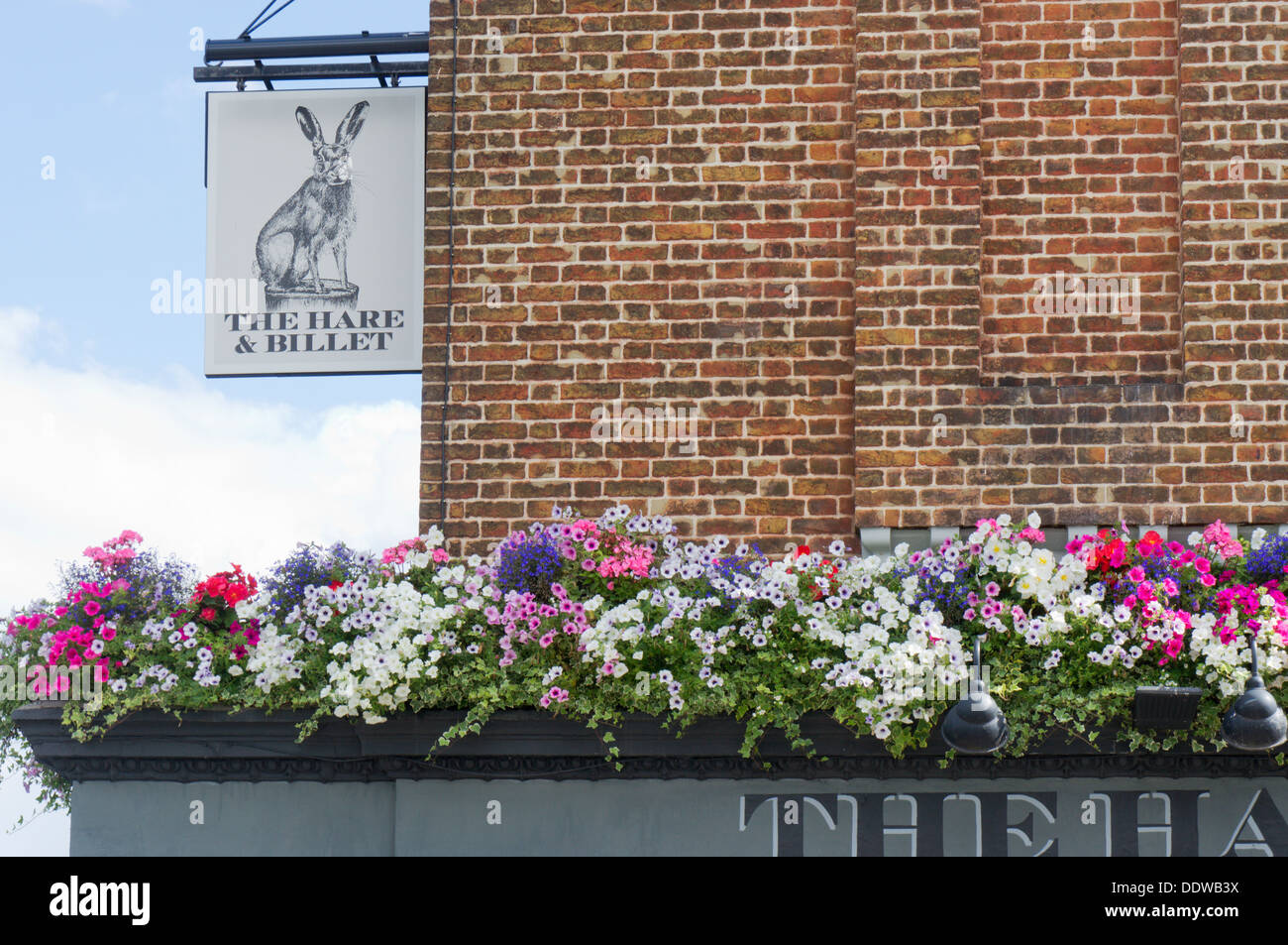 Der Hase & Billet Pub in Blackheath, London. Stockfoto