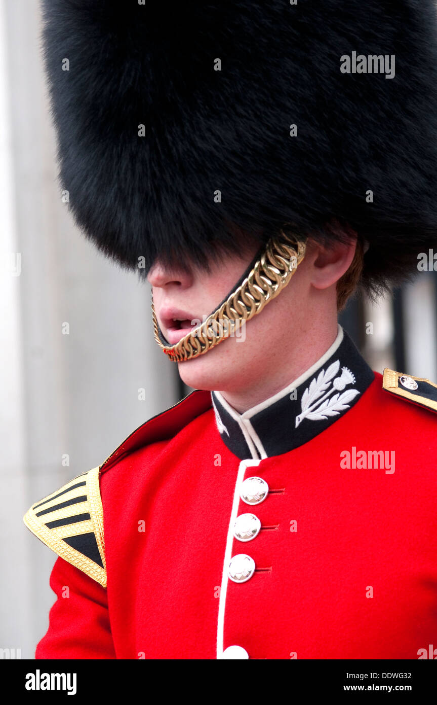 England, London, Buckingham Palace, Mitglied der schottischen Wachablösung am Buckingham Palace Stockfoto