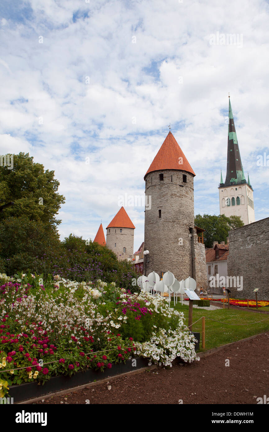 Mittelalterliche Altstadt von Tallinn, Hauptstadt und größte Stadt Estlands, baltische Staat Stockfoto