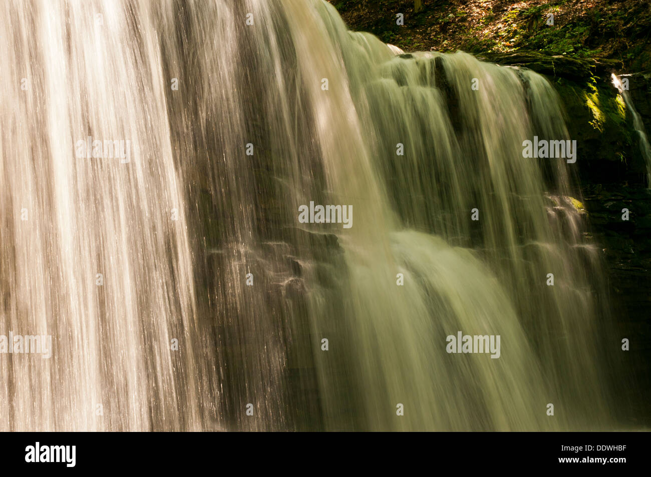 Wald-Wasserfall mit einigen Intrigen Stockfoto