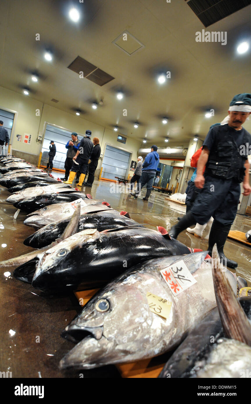 Thunfisch auf einem Fischmarkt in Osaka, Japan. Stockfoto