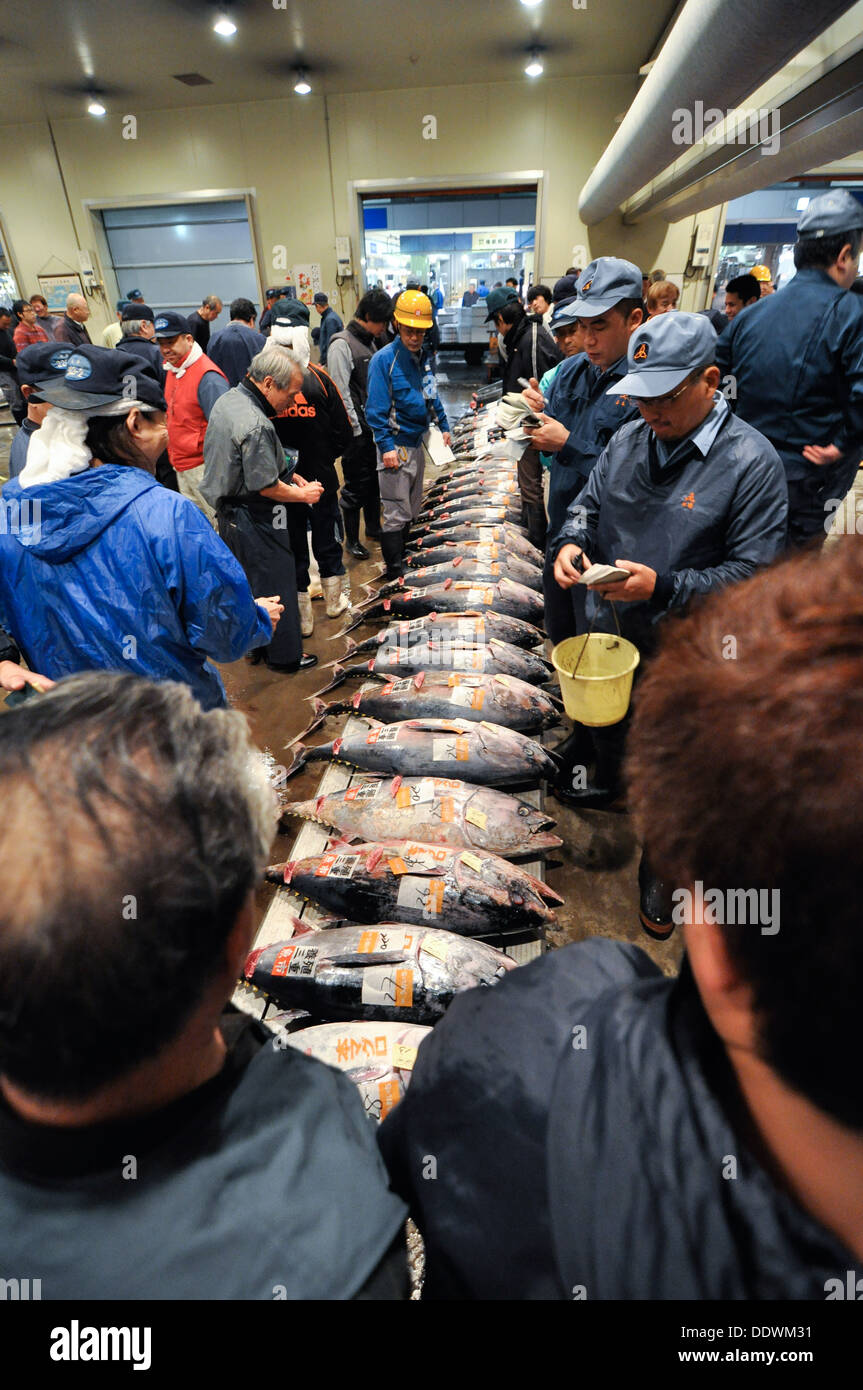 Thunfisch-Auktion am Fischmarkt in Osaka, Japan. Stockfoto