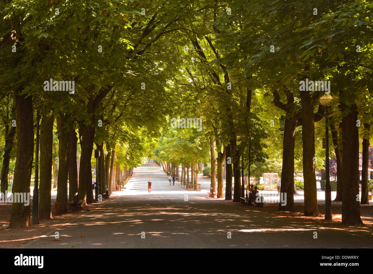 Parc De La Pipiniere in der Stadt Nancy, Frankreich. Stockfoto