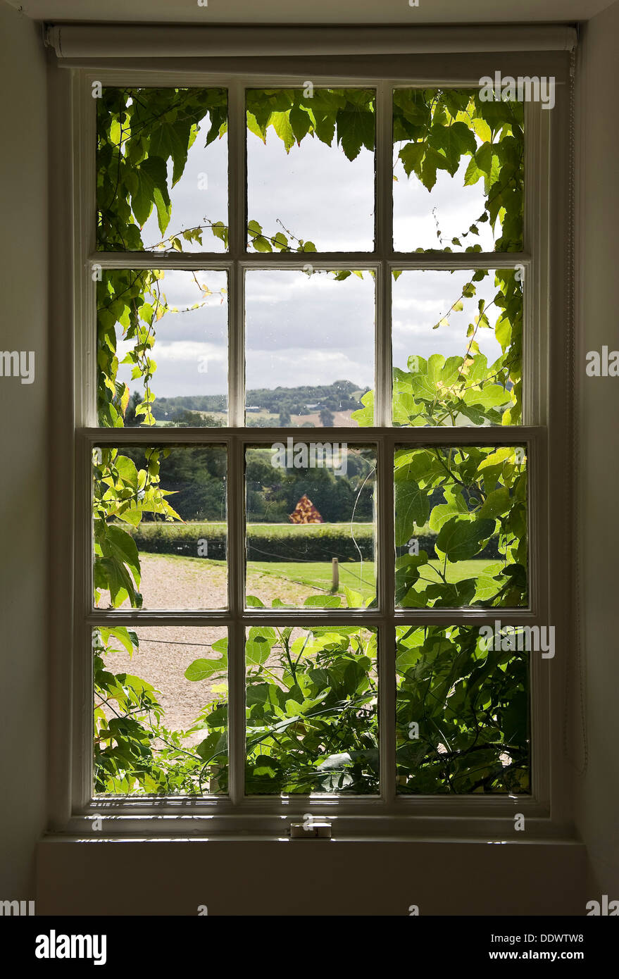 Ein Blatt beringt Fenster mit Blick auf einen sonnigen Tag Stockfoto