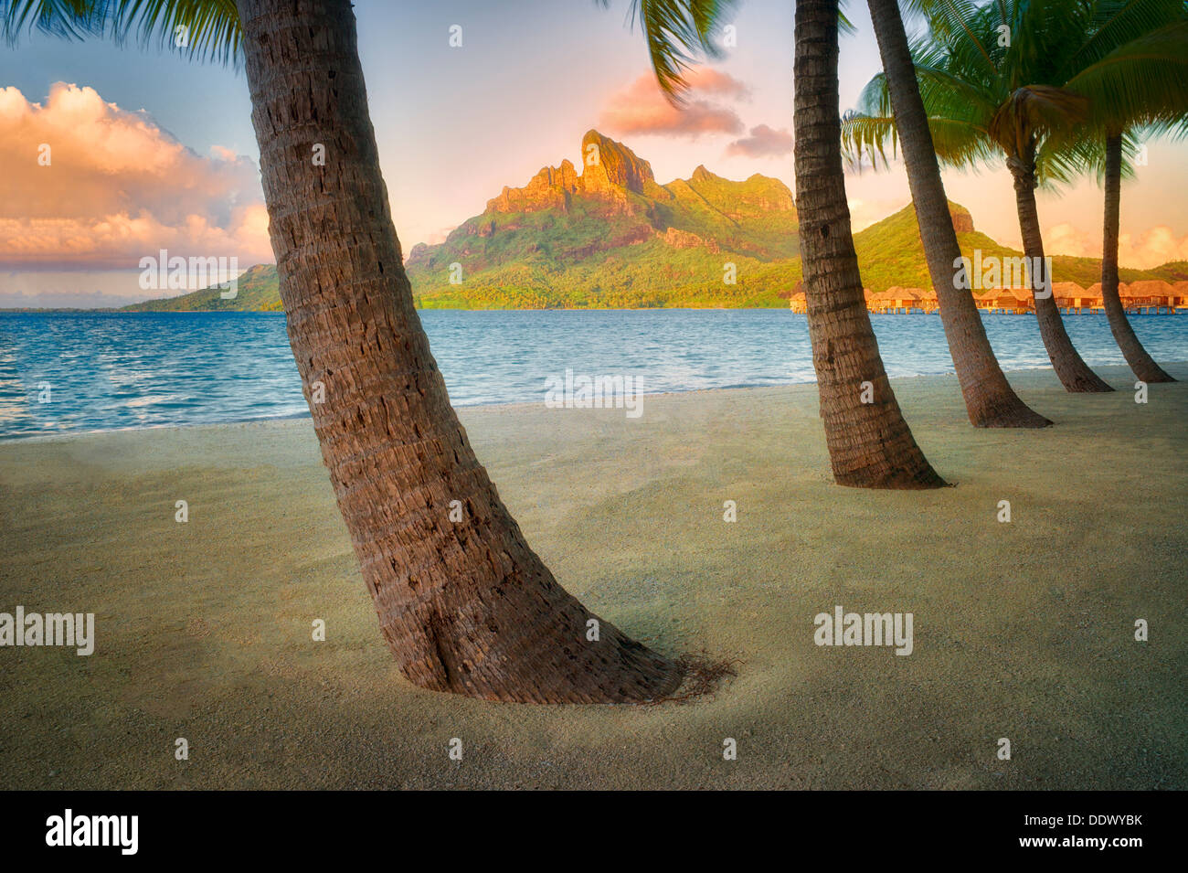 Sandstrand mit Palmen und Mt. Otemanu. Bora Bora. Französisch-Polynesien. Stockfoto