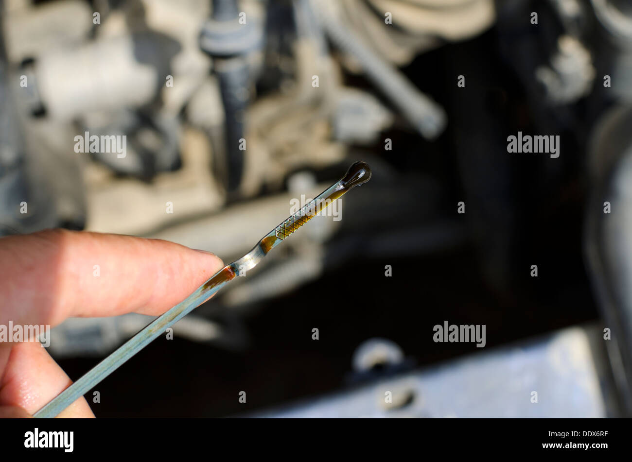 Den Ölstand prüfen und lesen den Ölmessstab mit Automotor im Hintergrund unscharf. Stockfoto