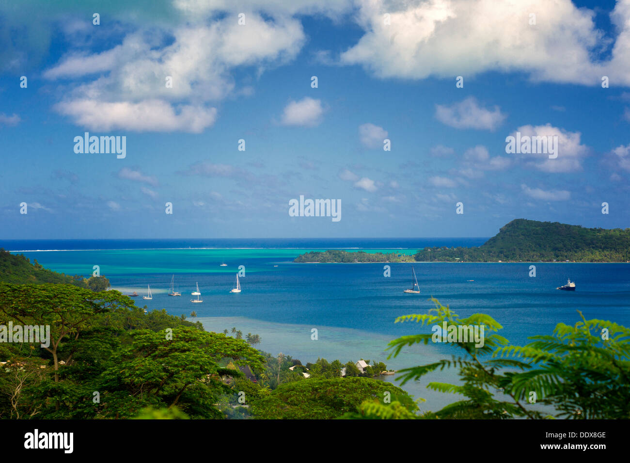 Boote in der Bucht. Bora Bora. Französisch-Polynesien Stockfoto