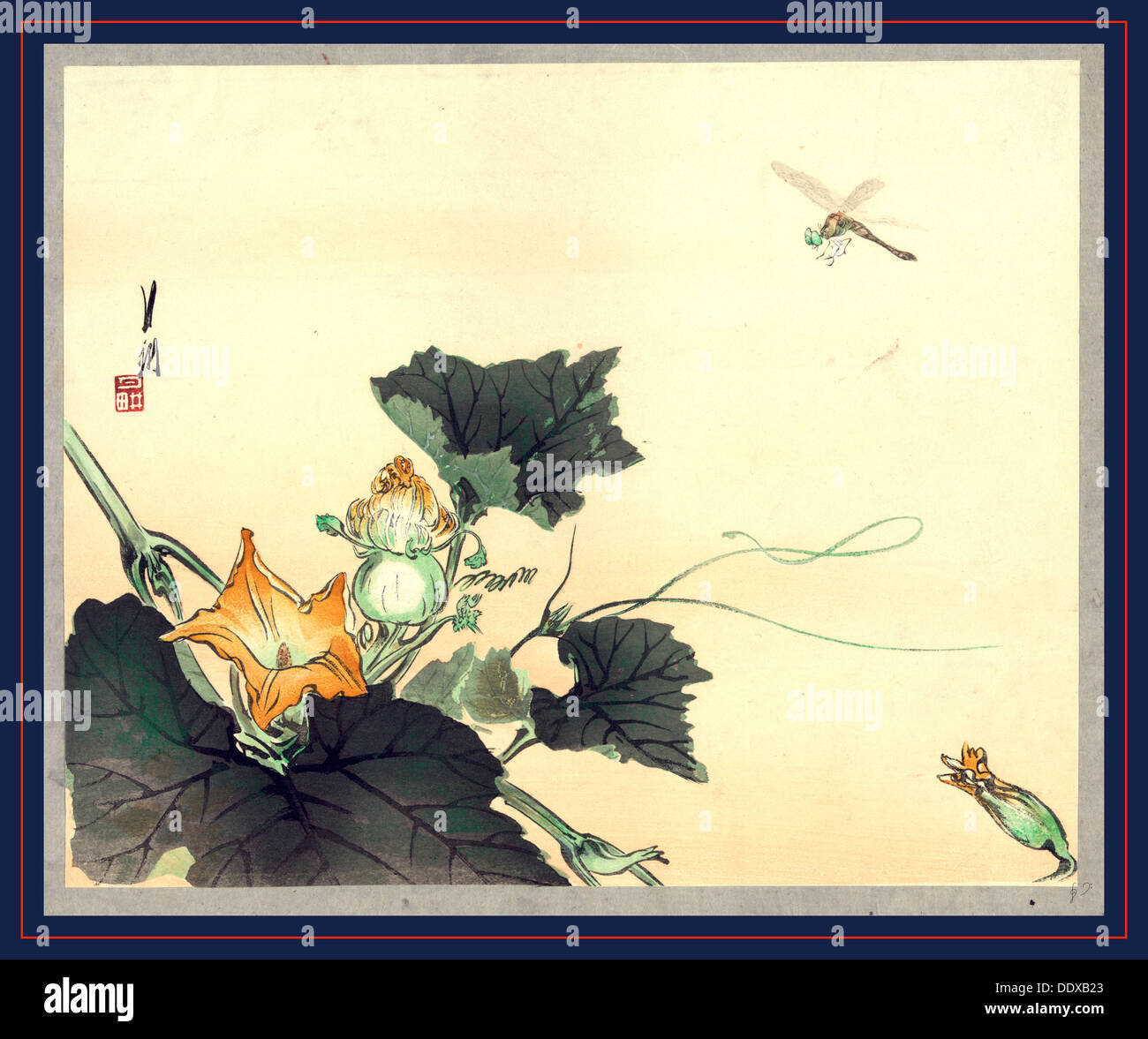 Kabocha ni Tonbou, Libelle und Kürbis. [zwischen 1890 und 1920] 1 print: Holzschnitt, Farbe; 24,7 x 30,3 cm. Druck befindet sich ein Stockfoto