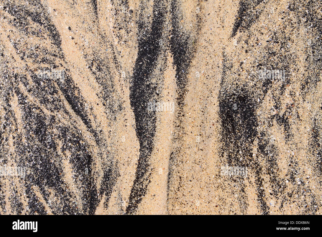 Sandstrand mit schwarzen Muschel Shell Partikel Cornwall UK Stockfoto