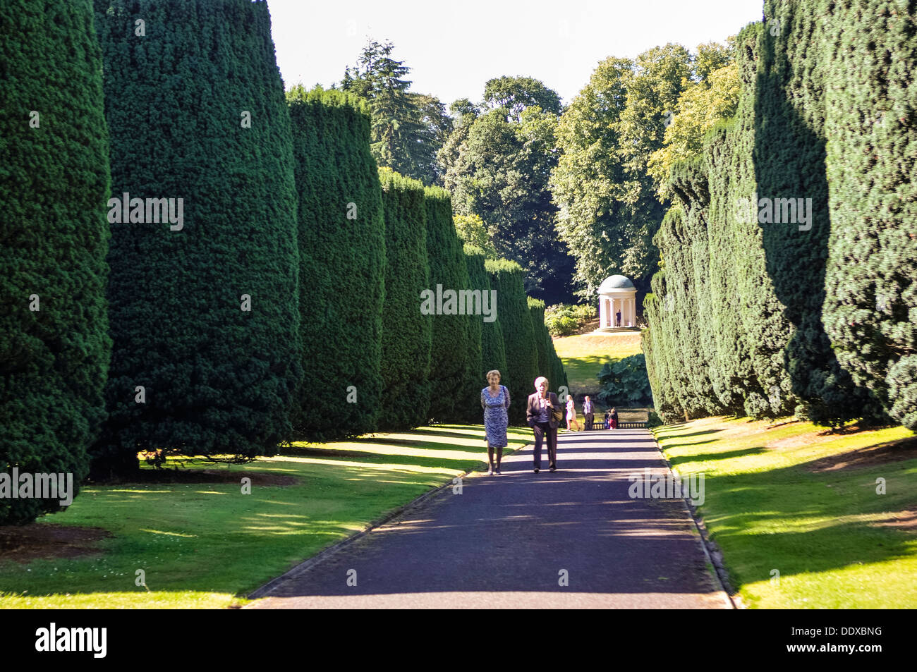 Eibe Baum zu Fuß hinunter zum Lady Alice Tempel auf dem Gelände des Hillsborough Palast, früher bekannt als Hillsborough Castle. Stockfoto