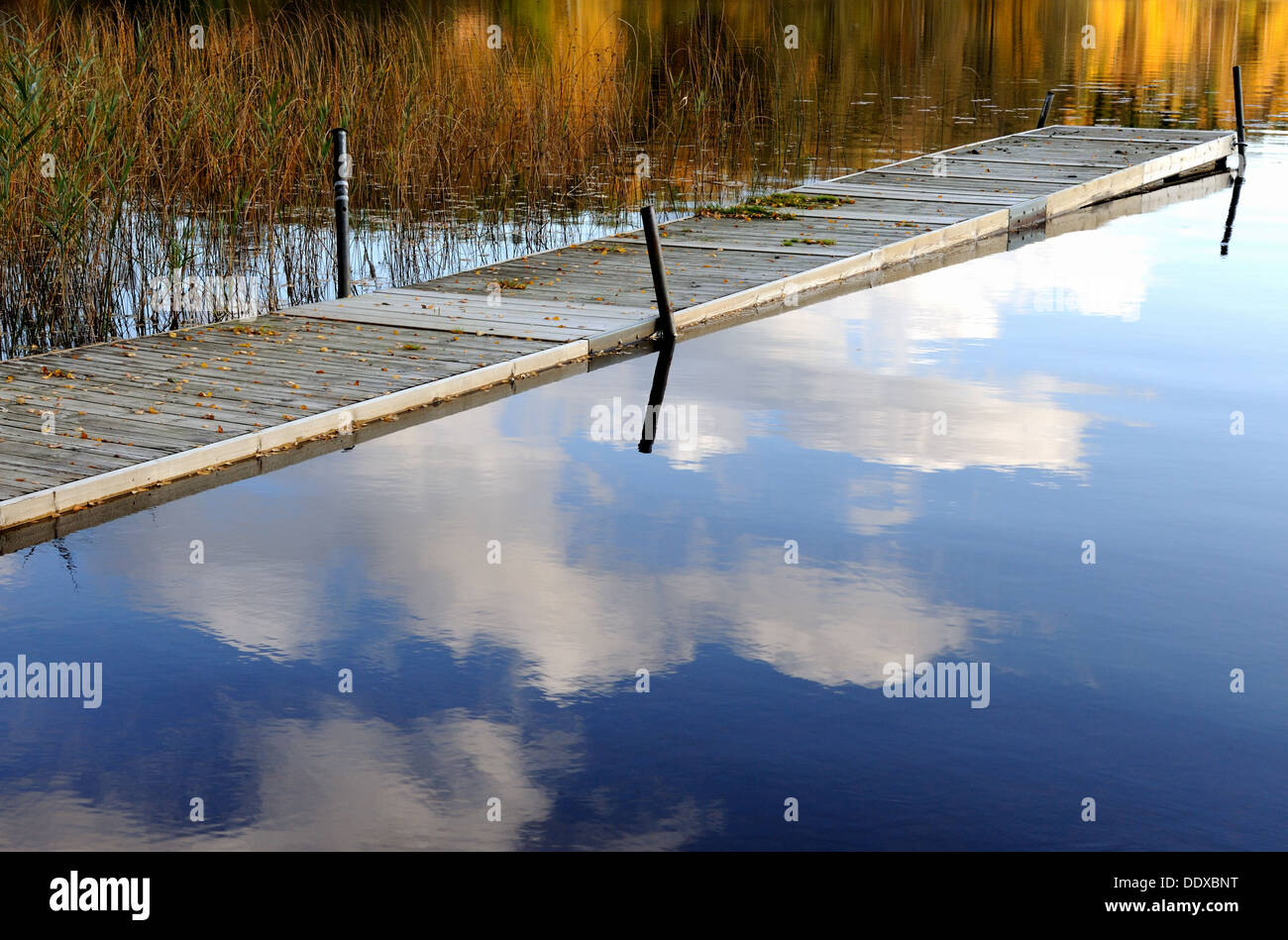 Außerhalb der Saison - Steg zum Tauchen und Schwimmen an einem schwedischen See verlassen im Herbst Stockfoto