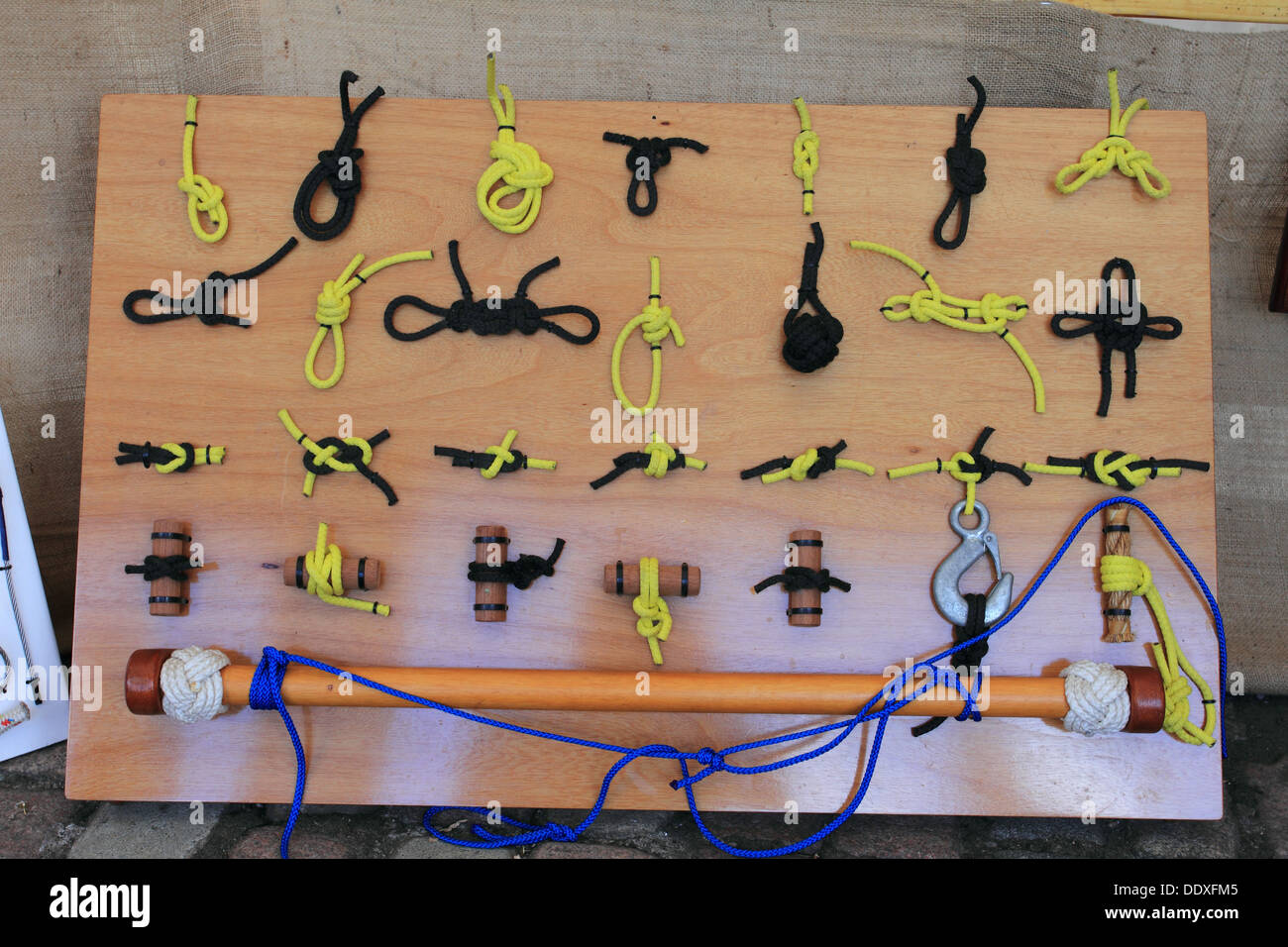 Knoten, Seil zeigt die Knots-Methode, internationales College für Bootsbau, Knots-Ausstellung, maritimes Festival, Great Yarmouth, Norfolk, Großbritannien Stockfoto