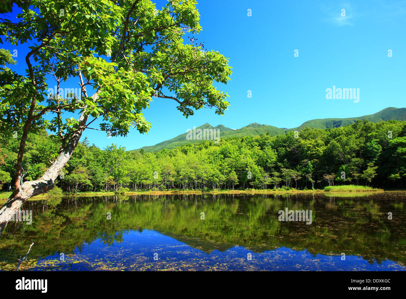Shiretoko fünf Seen, Hokkaido Stockfoto