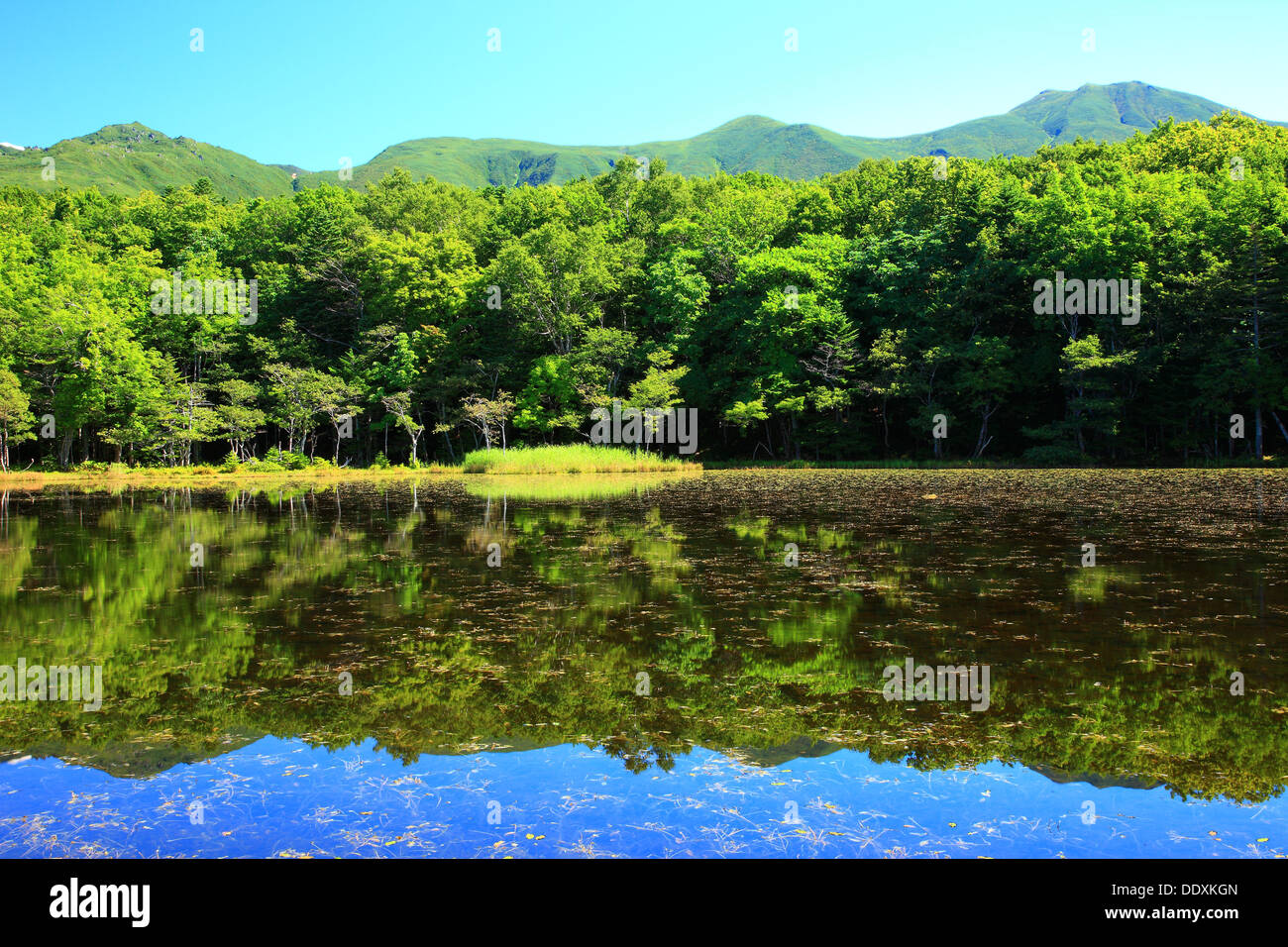 Shiretoko fünf Seen, Hokkaido Stockfoto