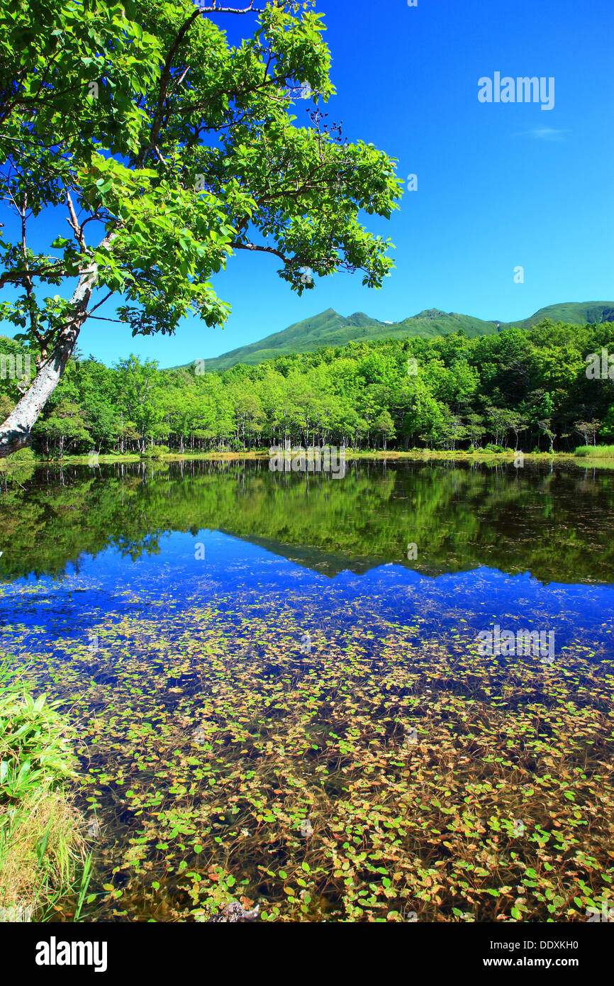 Shiretoko fünf Seen, Hokkaido Stockfoto