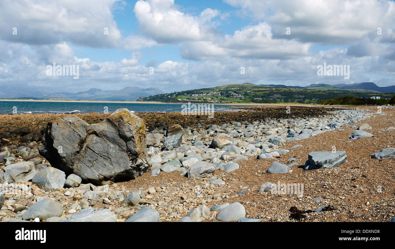 Boulder am Meer auf Shell Island North Wales UK Stockfoto