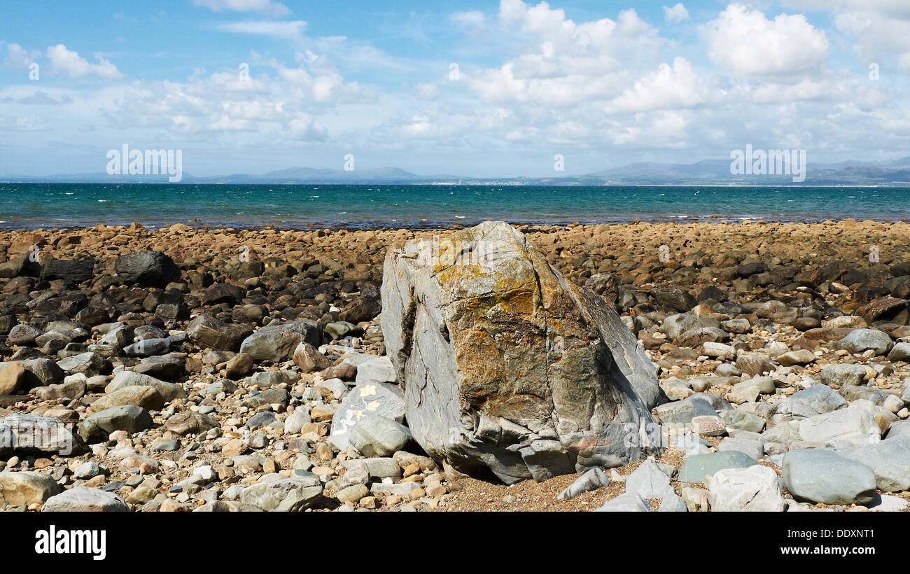 Boulder am Meer auf Shell Island North Wales UK Stockfoto