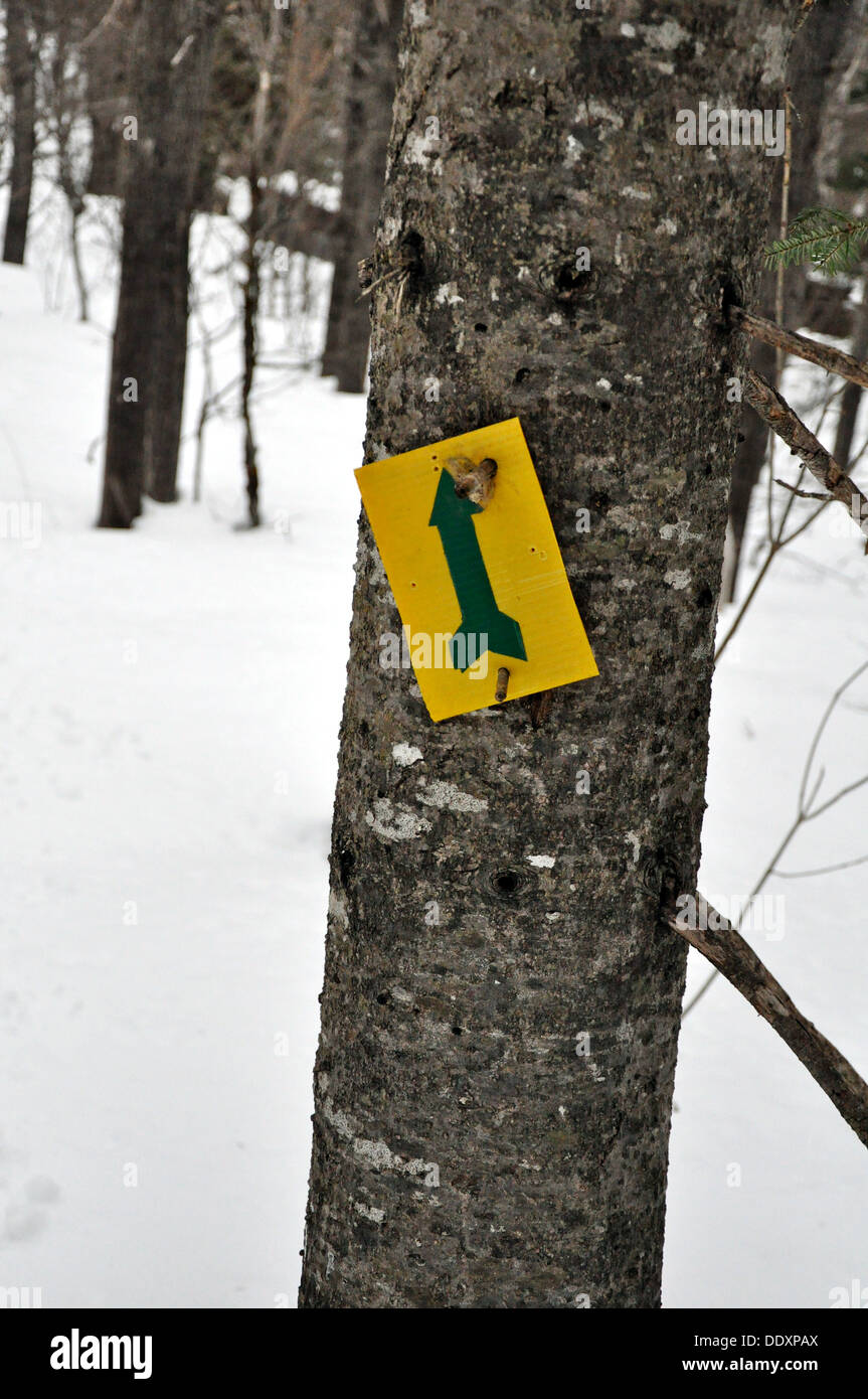 Ein Trail-Marker auf Crabbe Berg in Fredericton, New Brunswick Stockfoto