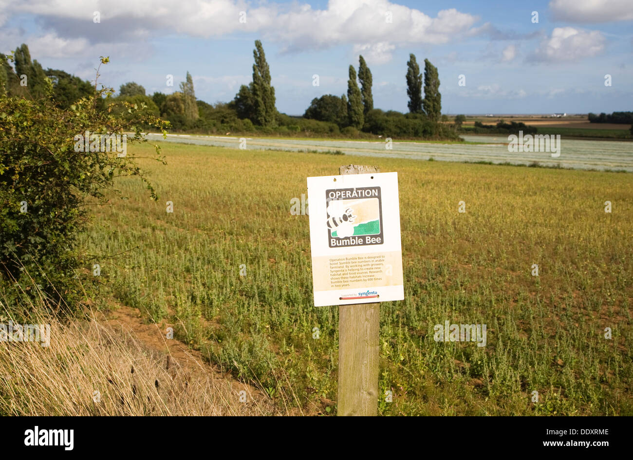 Betrieb Bumble Bee Natur Erhaltung Schema Zeichen im Feld Grenze, Hollesley, Suffolk, England Stockfoto