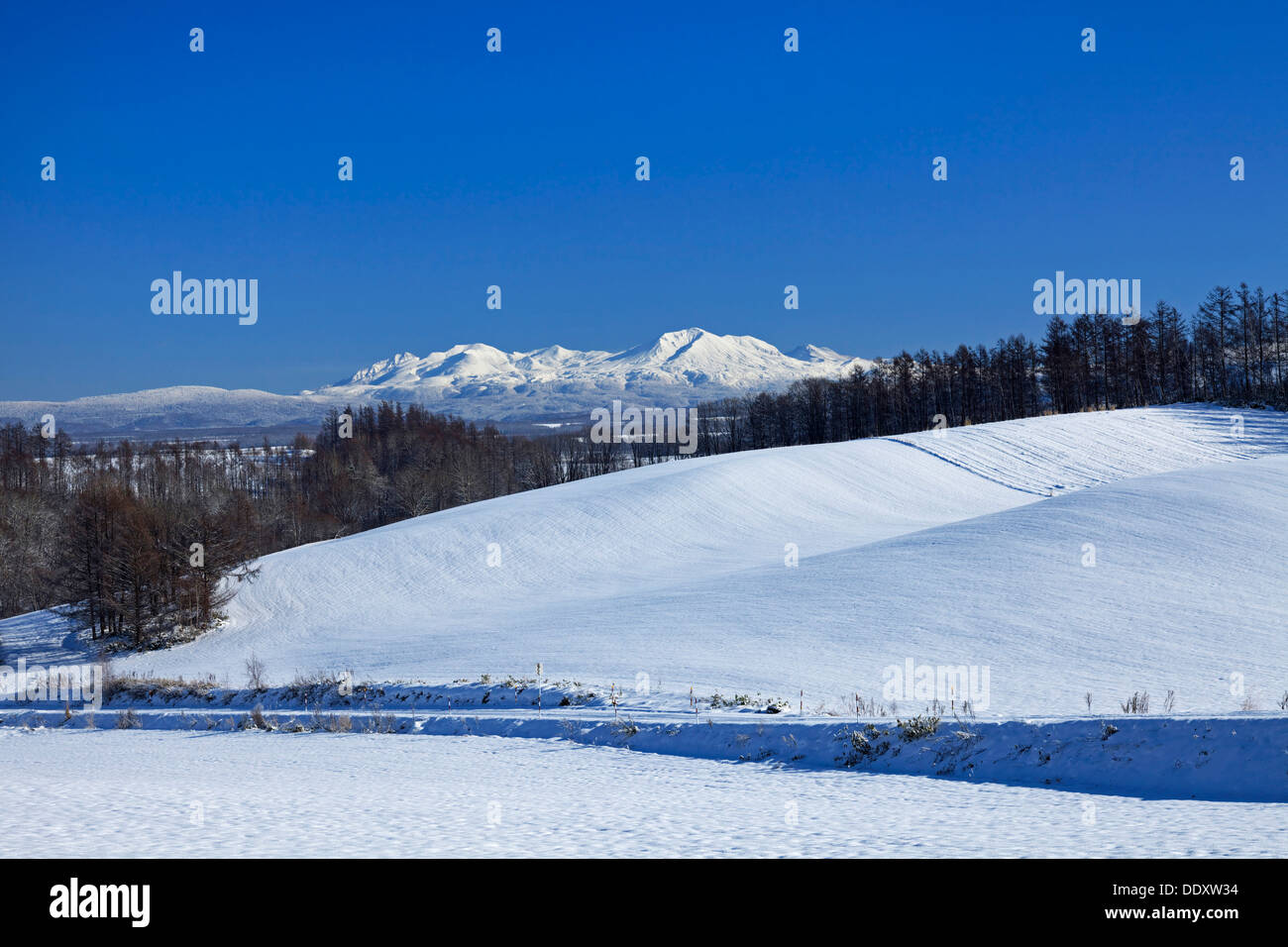 Mount Asahi, Hokkaido Stockfoto