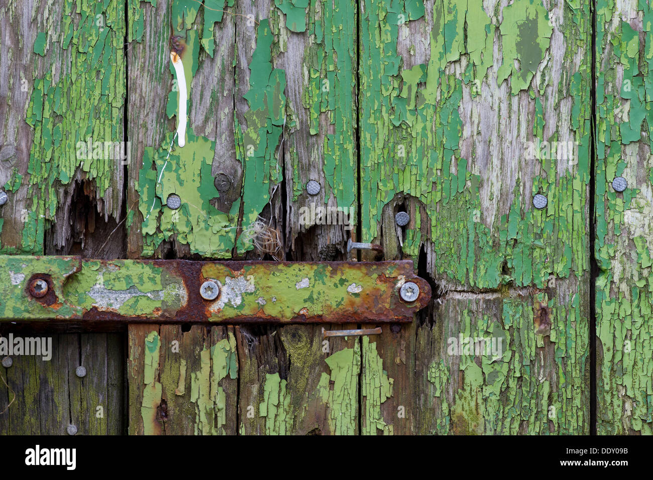 Peeling-grüne Farbe auf Holzbrettern und ein Scharnier Stockfoto