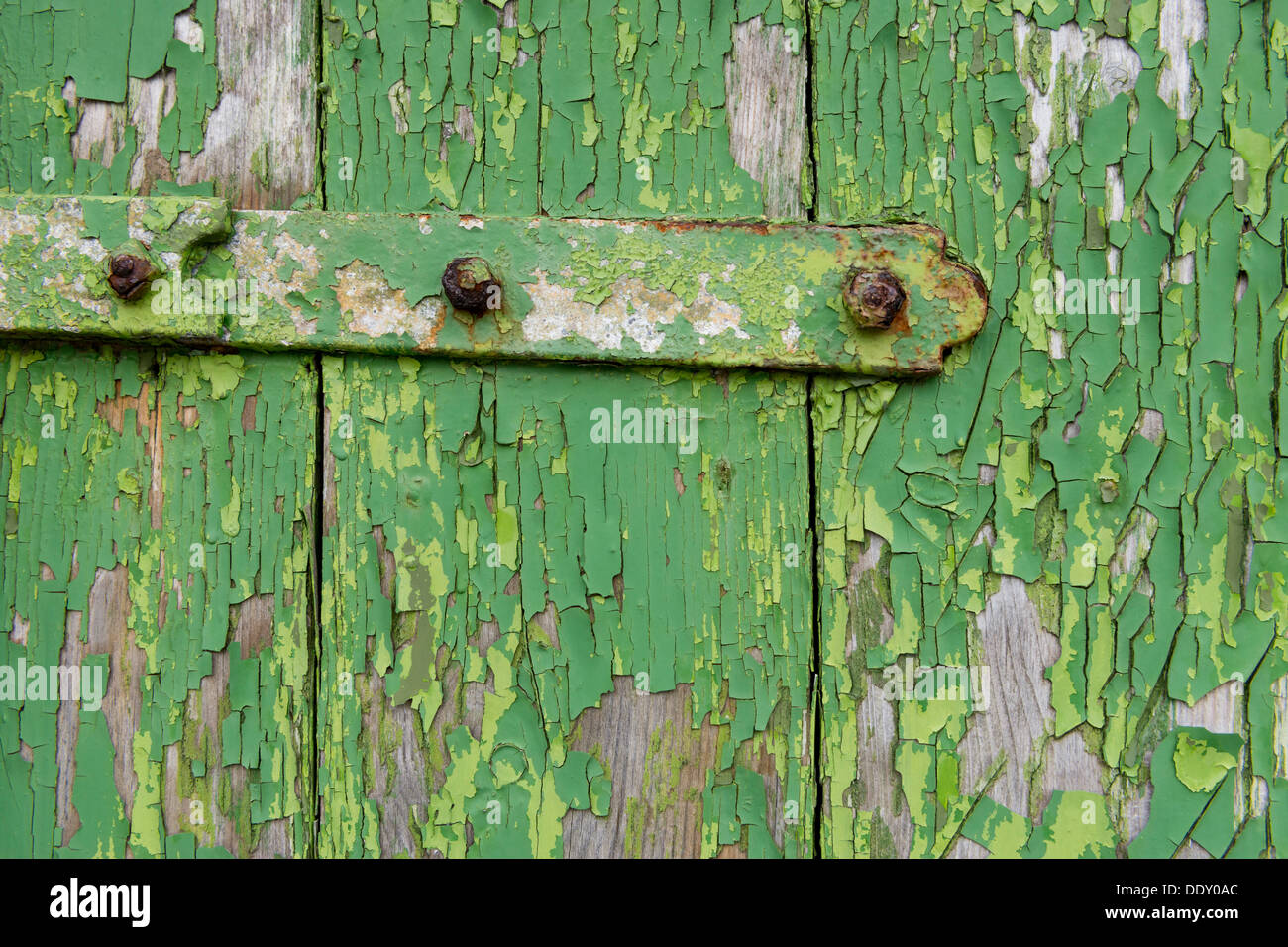 Peeling-grüne Farbe auf Holzbrettern und ein Scharnier Stockfoto