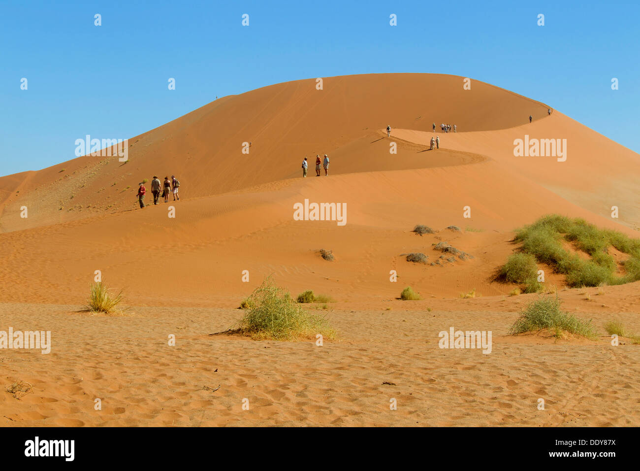 Menschen auf einer Sanddüne Stockfoto