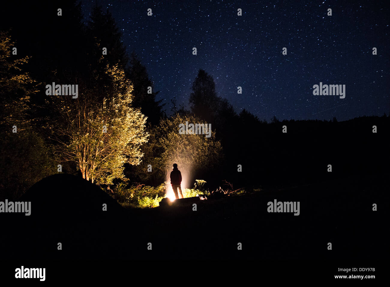 Eine Nacht am Lagerfeuer im Šumava, natürliche Schutzgebiet, Tschechien. Stockfoto