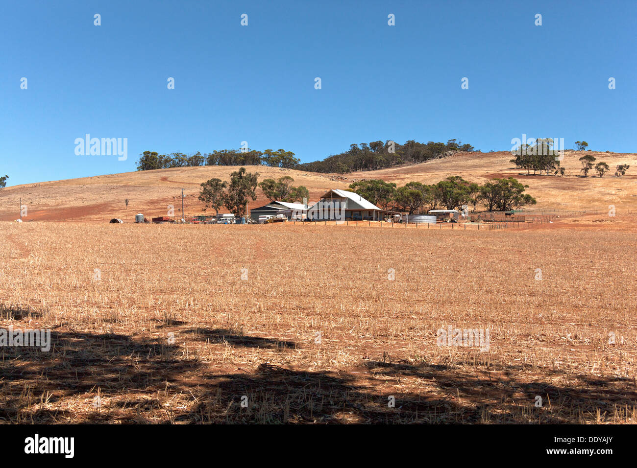Bauernhof und Land, Victoria Plains, Western Australia Stockfoto