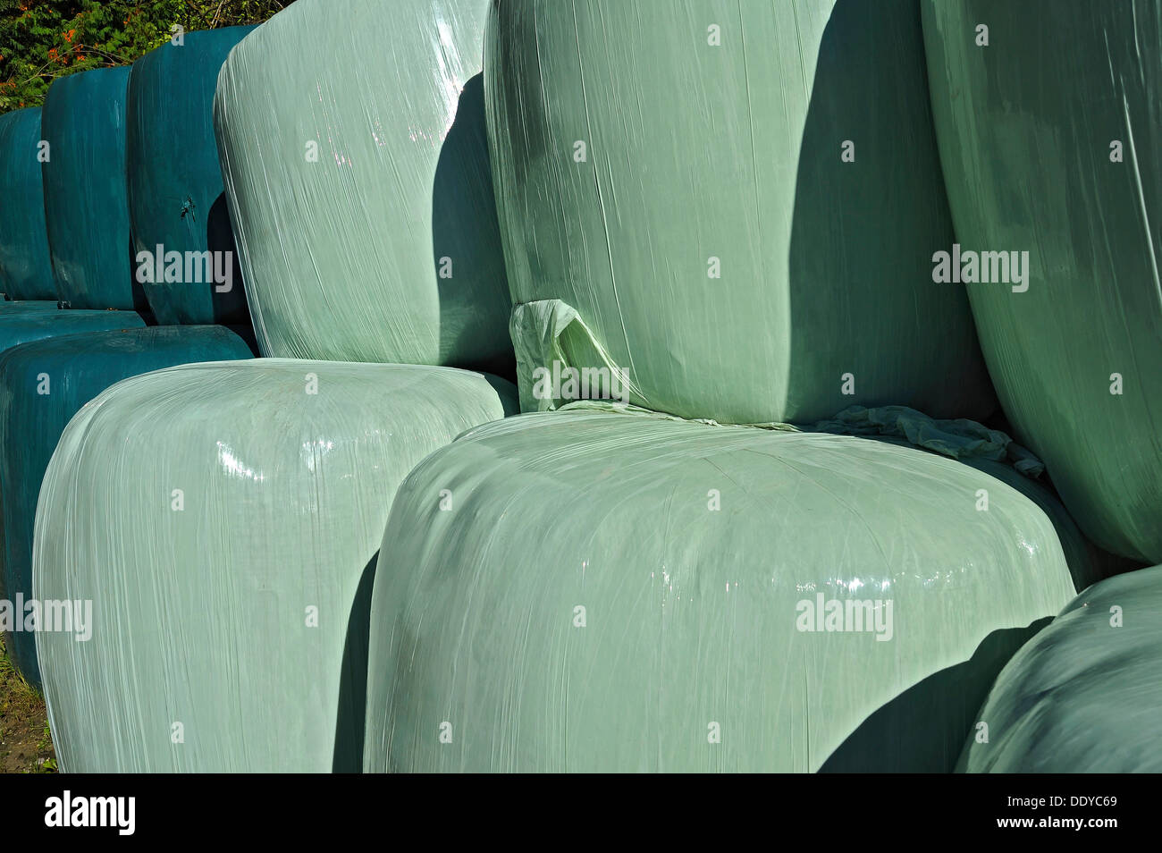 Heuballen gewickelt in grünen Plastikplanen, Schäftlarn, Bayern Stockfoto