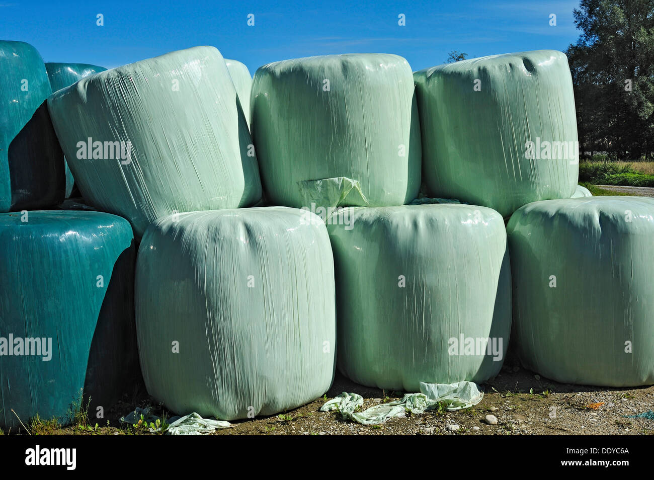 Heuballen gewickelt in grünen Plastikplanen, Schäftlarn, Bayern Stockfoto