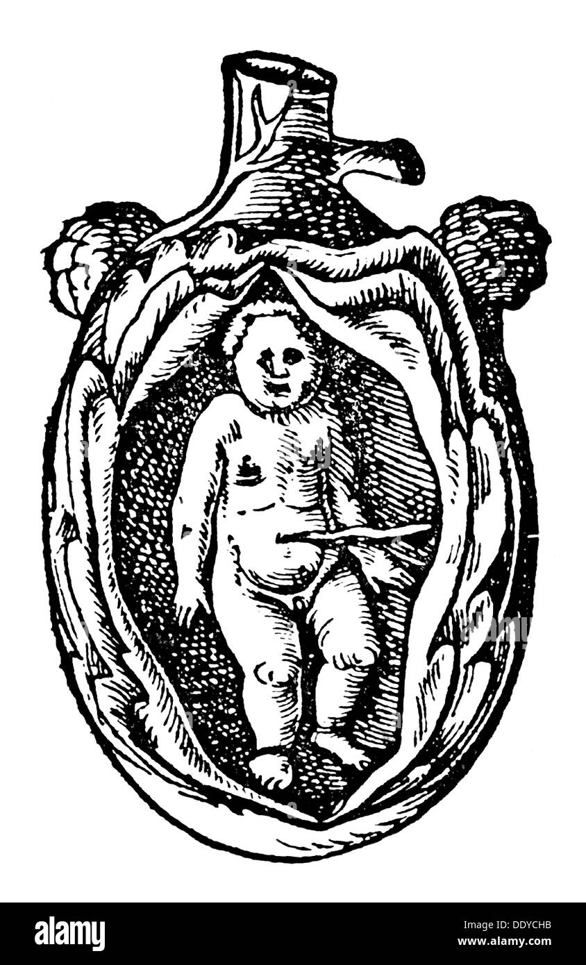 Medizin, Geburt / Gynäkologie, Lage des Embryos im Mutterleib, Holzschnitt, aus: Jakob Ruf (1505 - 1558), 'Trostbüchlein', Druck: Christoph Froschauer, Zürich, 1554, Additional-Rights-Clearences-not available Stockfoto