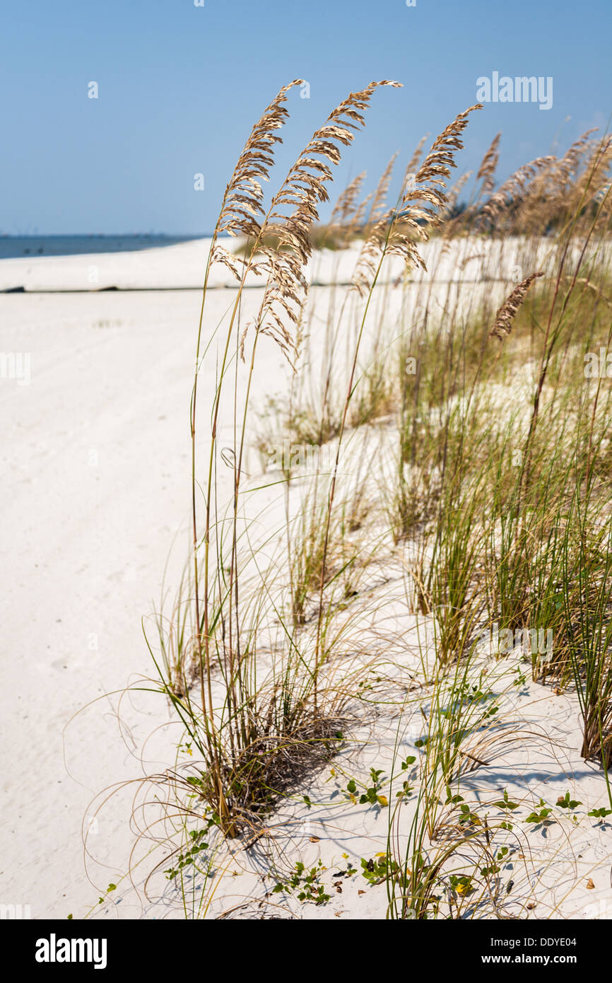 Sehafer für Erosionsschutz auf den Mann gemacht Sandstrand am Golf von Mexiko in Gulfport und Biloxi, Mississippi Stockfoto