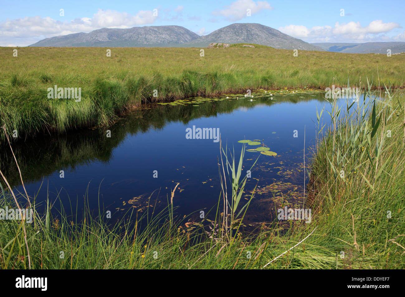 Die Twelve Bens in Connemara, Irland Stockfoto