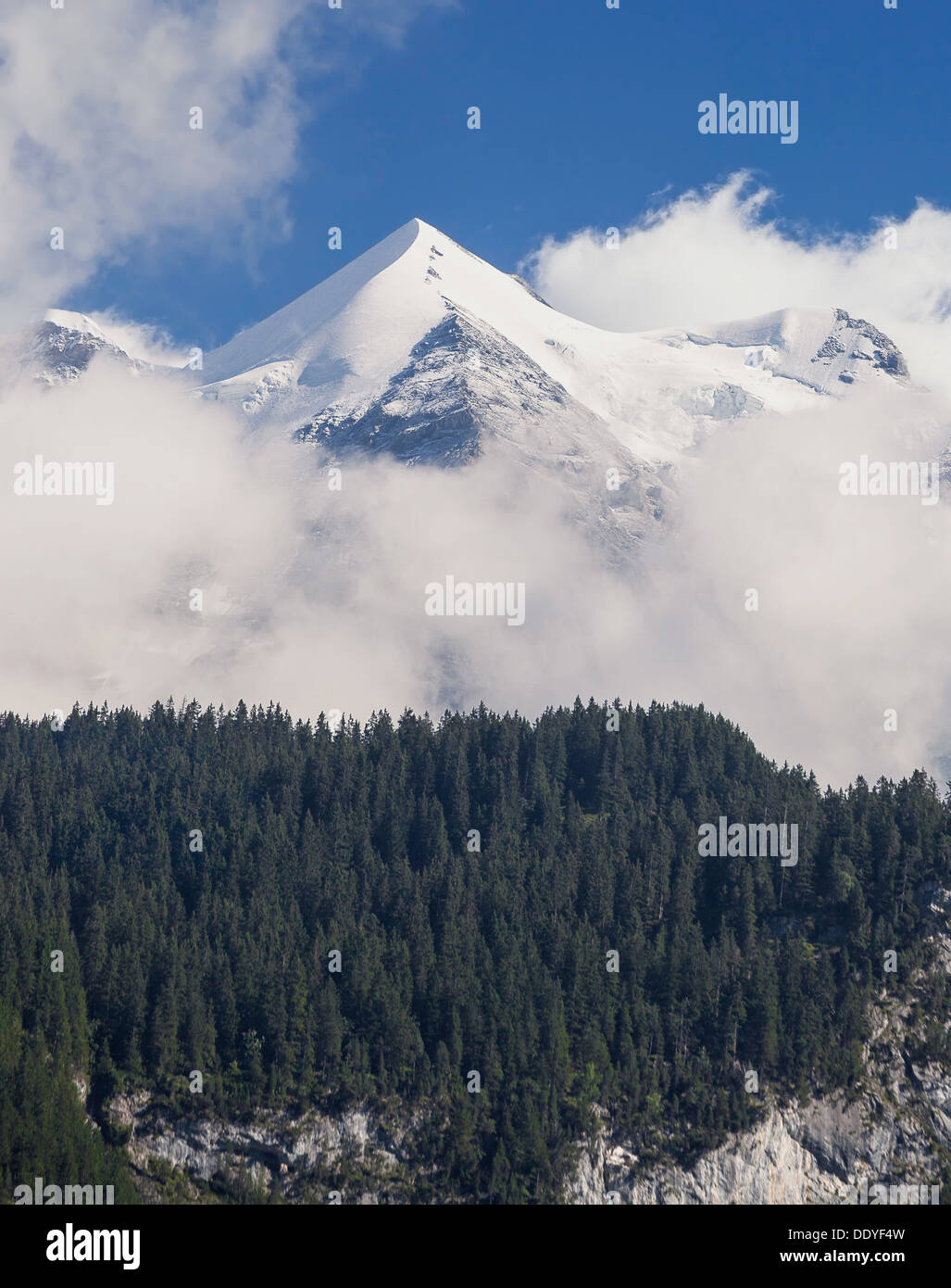 Silberhorn Mountain Peak-Anzeige im Sommer Stockfoto
