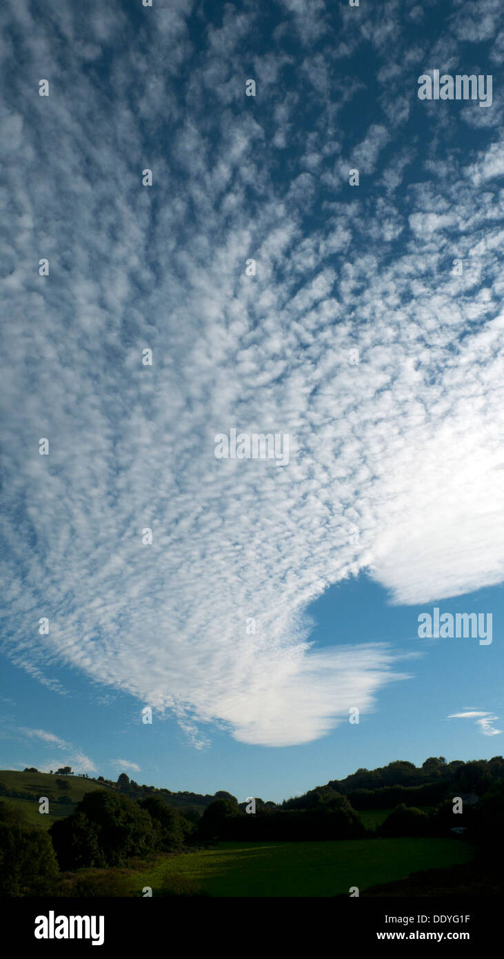 Cirrus und Cirrocumulus Wolken hoch am blauen Himmel an einem heißen Spätsommer-Abend im ländlichen Wales UK KATHY DEWITT Stockfoto