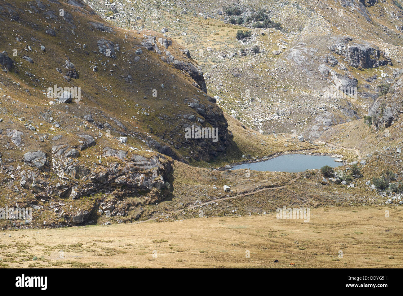 Kleine Laguna auf dem Weg zur Laguna 69 Trek in der Huascarán Nationalpark, der peruanischen Anden. Stockfoto