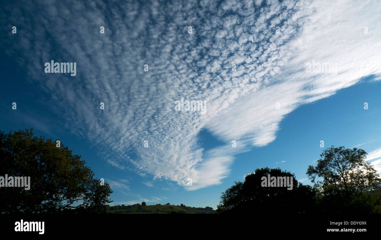 Cirrus und Cirrocumulus Wolken hoch am blauen Himmel an einem heißen Spätsommer-Abend im ländlichen Wales UK KATHY DEWITT Stockfoto